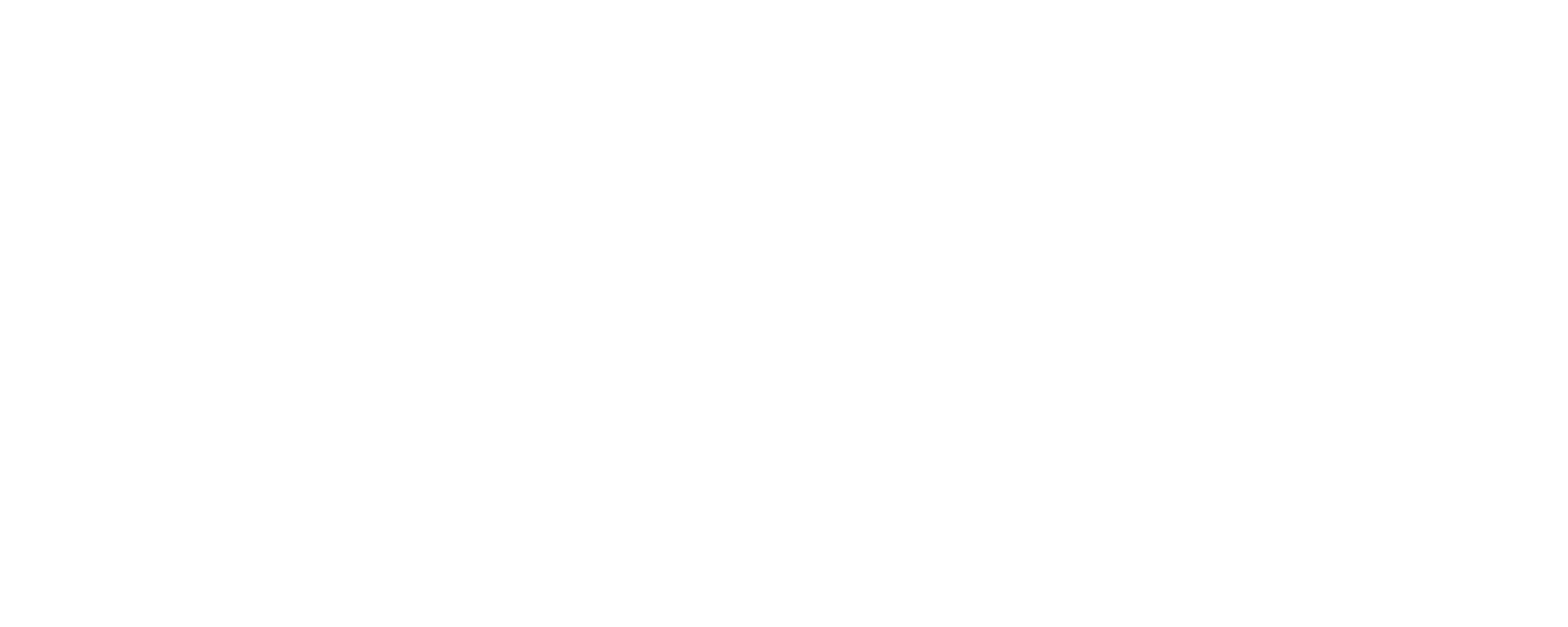 Logo BRIMARK CORPORATE (Mode Sombre)